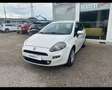 Fiat Punto 1.2 8V 5 porte Street Bianco - thumbnail 1
