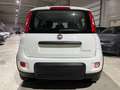 Fiat New Panda 1.0 FireFly S&S Hybrid City Life 5 POSTI/VOLA.MULT Biały - thumbnail 9