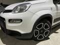 Fiat New Panda 1.0 FireFly S&S Hybrid City Life 5 POSTI/VOLA.MULT Wit - thumbnail 7
