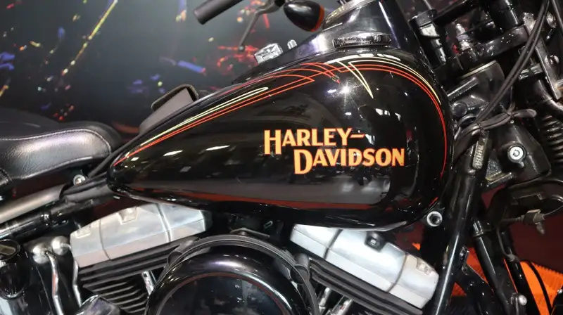 Harley-Davidson Chopper Cross Bones - foto 3