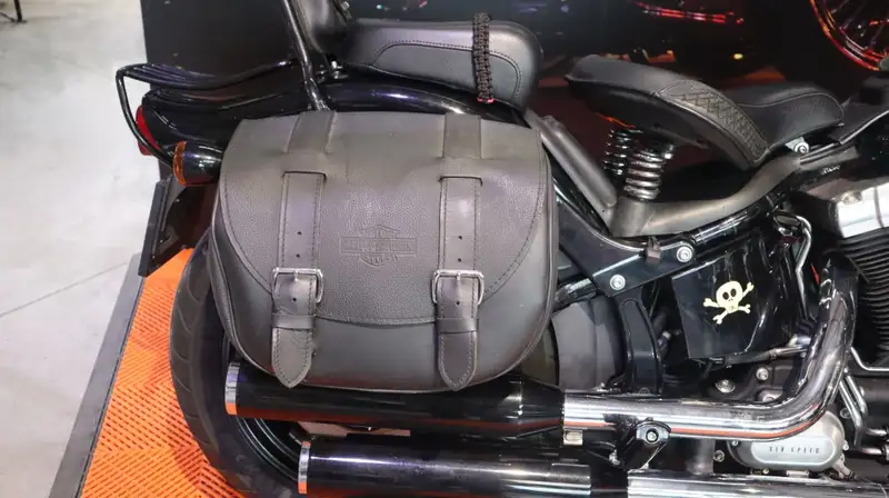 Harley-Davidson Chopper Cross Bones - foto 6