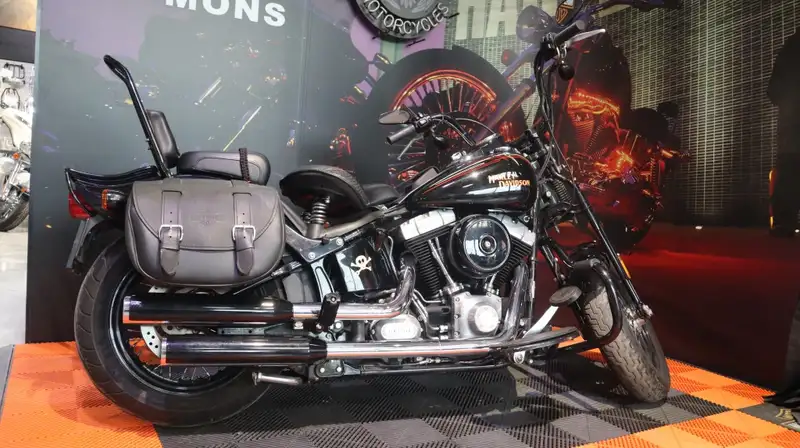 Harley-Davidson Chopper Cross Bones - foto 2