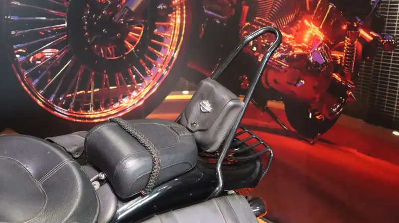 Harley-Davidson Chopper Cross Bones - foto 8