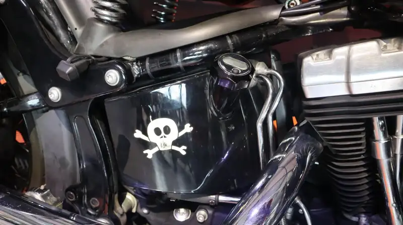 Harley-Davidson Chopper Cross Bones - foto 4