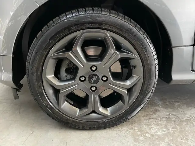 Ford Ecosport view 15