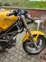 Ducati Monster 600 Yellow - thumbnail 9
