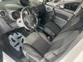 Renault Kangoo 1.5 dCi /GEKEURD/74000 km/euro 6b/€ 6355+btw/tva Blanc - thumbnail 19