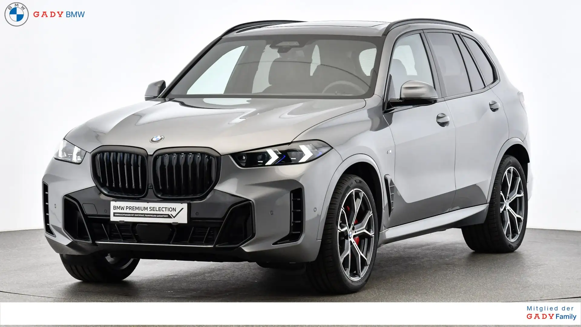 BMW X5 X5 xDrive30d Gris - 1