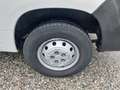 Fiat Ducato 33 2.3 MJT 130CV PLM-TM Furgone EURO 6 Blanc - thumbnail 16