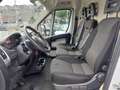Fiat Ducato 33 2.3 MJT 130CV PLM-TM Furgone EURO 6 Blanc - thumbnail 7