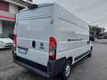 Fiat Ducato 33 2.3 MJT 130CV PLM-TM Furgone EURO 6 Blanc - thumbnail 4