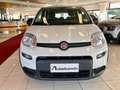 Fiat Panda 1.0 FireFly S&S Hybrid Km 15400!! PREZZO REALE !! Wit - thumbnail 2