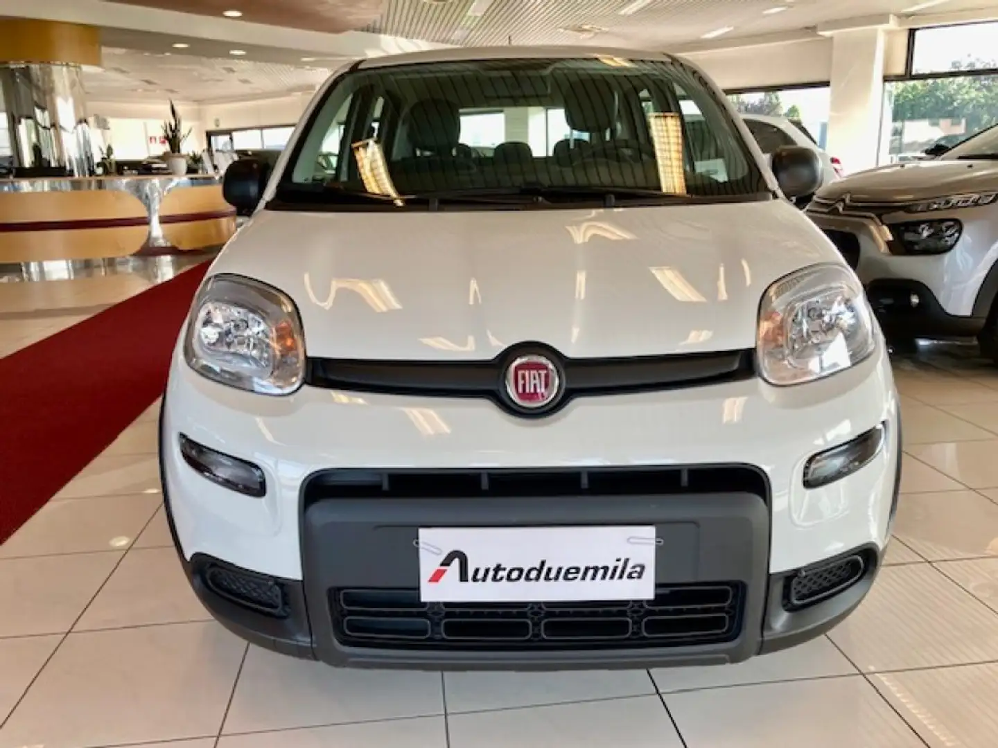 Fiat Panda 1.0 FireFly S&S Hybrid Km 15400!! PREZZO REALE !! Wit - 2