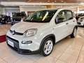 Fiat Panda 1.0 FireFly S&S Hybrid Km 15400!! PREZZO REALE !! Wit - thumbnail 1