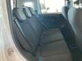 Fiat Panda 1.0 FireFly S&S Hybrid Km 15400!! PREZZO REALE !! Wit - thumbnail 12