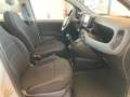 Fiat Panda 1.0 FireFly S&S Hybrid Km 15400!! PREZZO REALE !! Wit - thumbnail 10