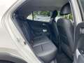 Kia Picanto 1.2 X-Line*Lenk.Hz*AppleCarPlay* Weiß - thumbnail 12
