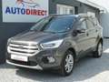 Ford Kuga 1.5 EcoBoost FWD Titanium Navi, Camera, Smartlink Grijs - thumbnail 1