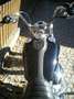 Harley-Davidson Dyna Street Bob Negru - thumbnail 3