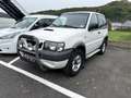 Nissan Terrano 2.7 TDI 125CH LUXE 3P Blanc - thumbnail 2