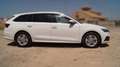 Skoda Octavia 2.0TDI Ambition 110kW Blanco - thumbnail 4