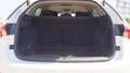 Skoda Octavia 2.0TDI Ambition 110kW Blanco - thumbnail 30