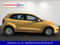 Volkswagen Polo V 1.2 Comfortline 5-trg. Klima Gelb - thumbnail 4
