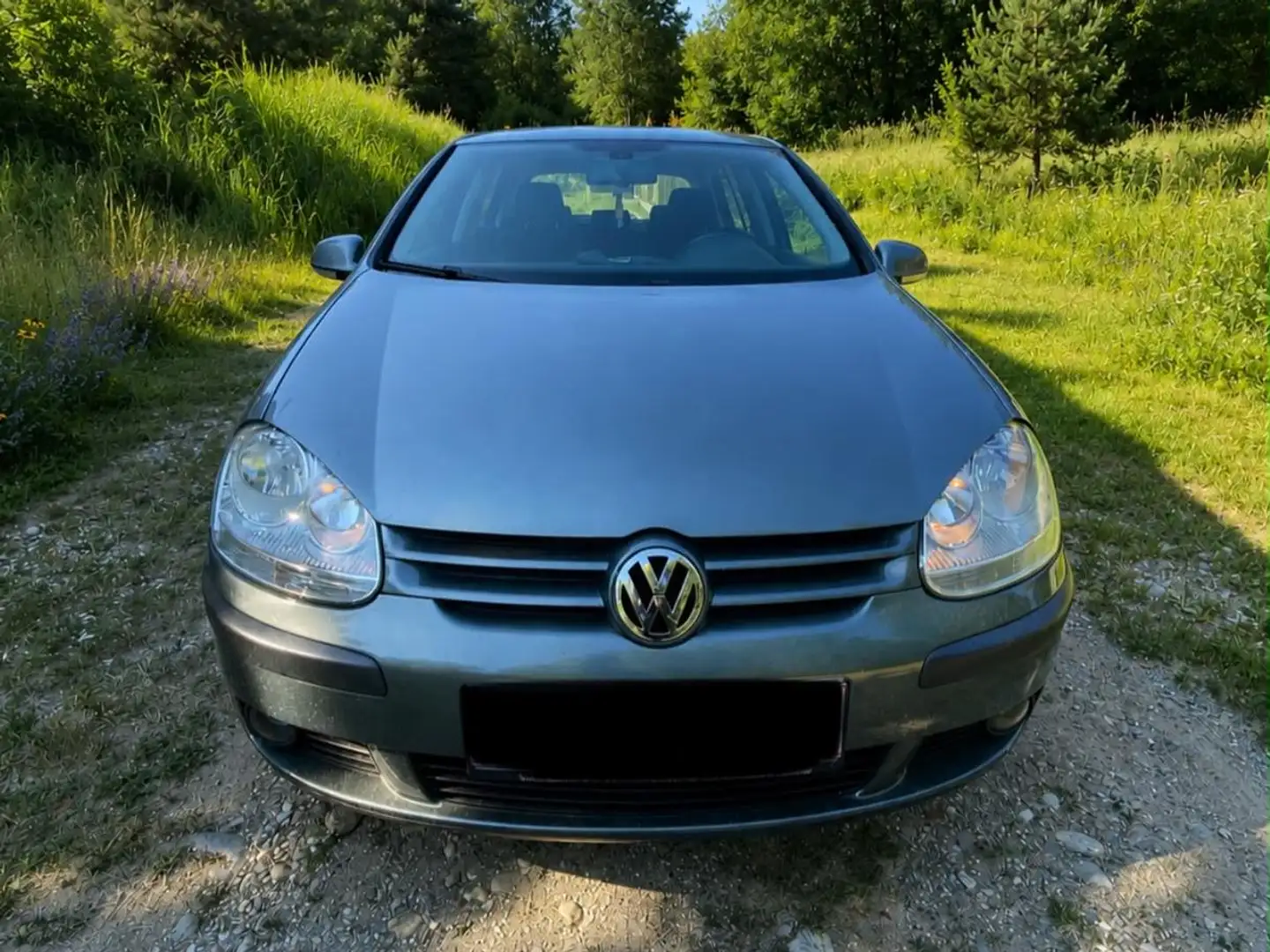 Volkswagen Golf Golf Comfortline 1,9 TDI DPF 4MOTION Comfortline Grün - 1