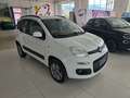 Fiat Panda 4x4 1.3MJT 80CV *INTROVABILE* Bianco - thumbnail 3