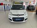 Fiat Panda 4x4 1.3MJT 80CV *INTROVABILE* Bianco - thumbnail 2