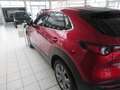 Mazda CX-30 2.0L e-SKYACTIV G 122ps 6MT FWD Exclusive-line DES Rosso - thumbnail 6