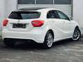 Mercedes-Benz A 220 CDI Autom.*XENON*NAVI*SHZ*KAMERA*EURO6 Білий - thumbnail 3