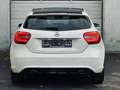 Mercedes-Benz A 220 CDI Autom.*XENON*NAVI*SHZ*KAMERA*EURO6 Білий - thumbnail 4