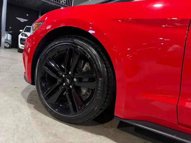 Ford Mustang view 8