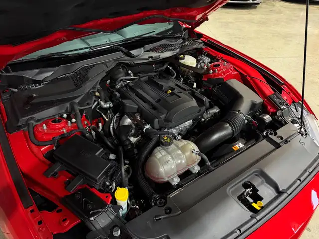 Ford Mustang view 11