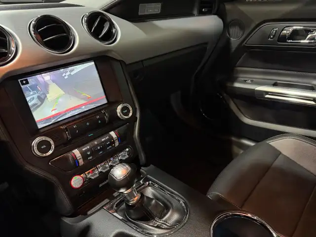 Ford Mustang view 14