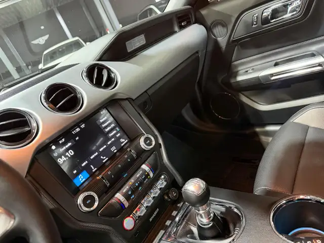 Ford Mustang view 13