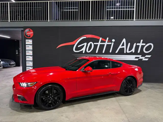 Ford Mustang view 2