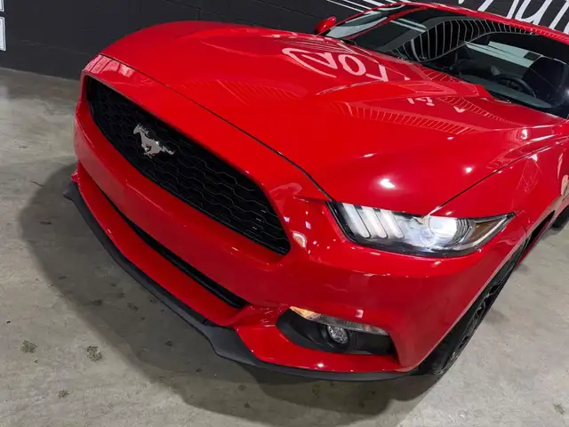 Ford Mustang view 9