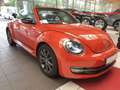 Volkswagen Beetle Cabriolet Club DSG Navi Kamera Xenon Arancione - thumbnail 10