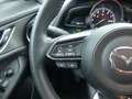 Mazda CX-3 2.0 AWD LED ACC Kamera Head-Up Sitzheizung Grau - thumbnail 25