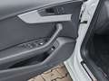 Audi A4 40 TDI S-line LED|ACC|RFK|Navi Weiß - thumbnail 15