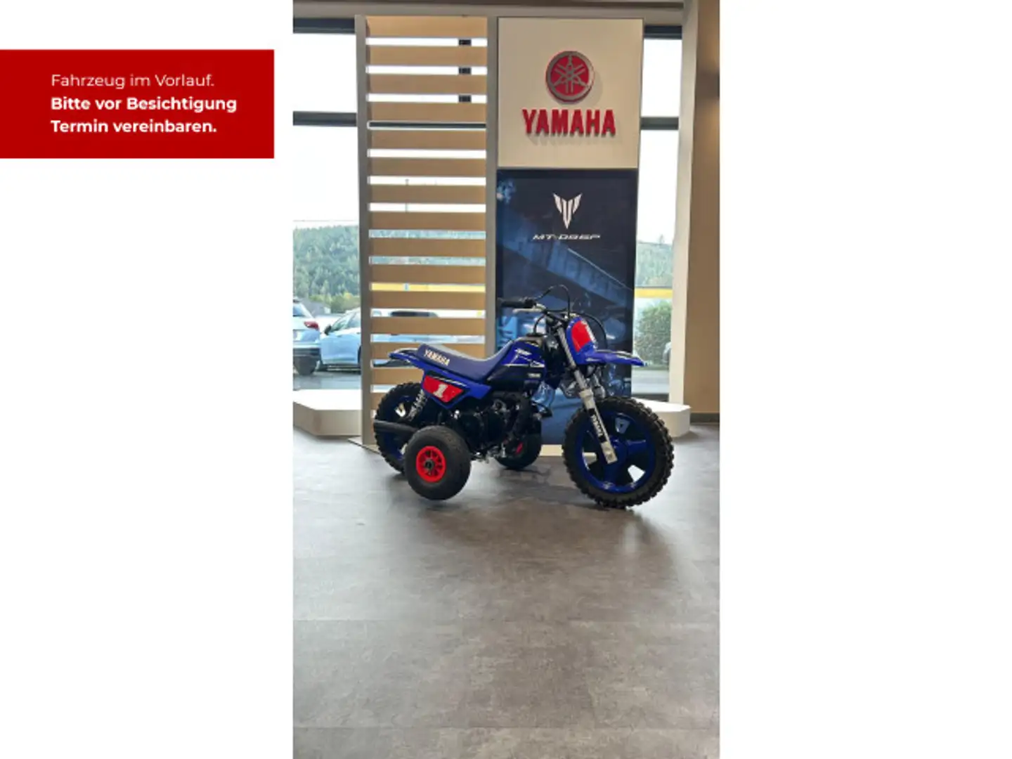 Yamaha PW50 Blau - 2