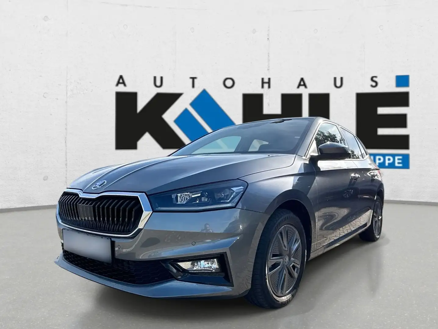 Skoda Fabia 1.0 TSI DSG Selection Navi LED ACC SHZ Klima RFK Gris - 1