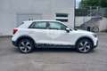 Audi Q2 Q2 30 TDI S tronic Admired Blanco - thumbnail 4