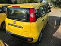 Fiat Panda Pandina III 2024 Pandina 1.0 firefly hybrid Pop s Giallo - thumbnail 4