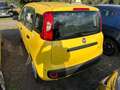 Fiat Panda Pandina III 2024 Pandina 1.0 firefly hybrid Pop s Giallo - thumbnail 5
