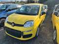 Fiat Panda Pandina III 2024 Pandina 1.0 firefly hybrid Pop s Giallo - thumbnail 1