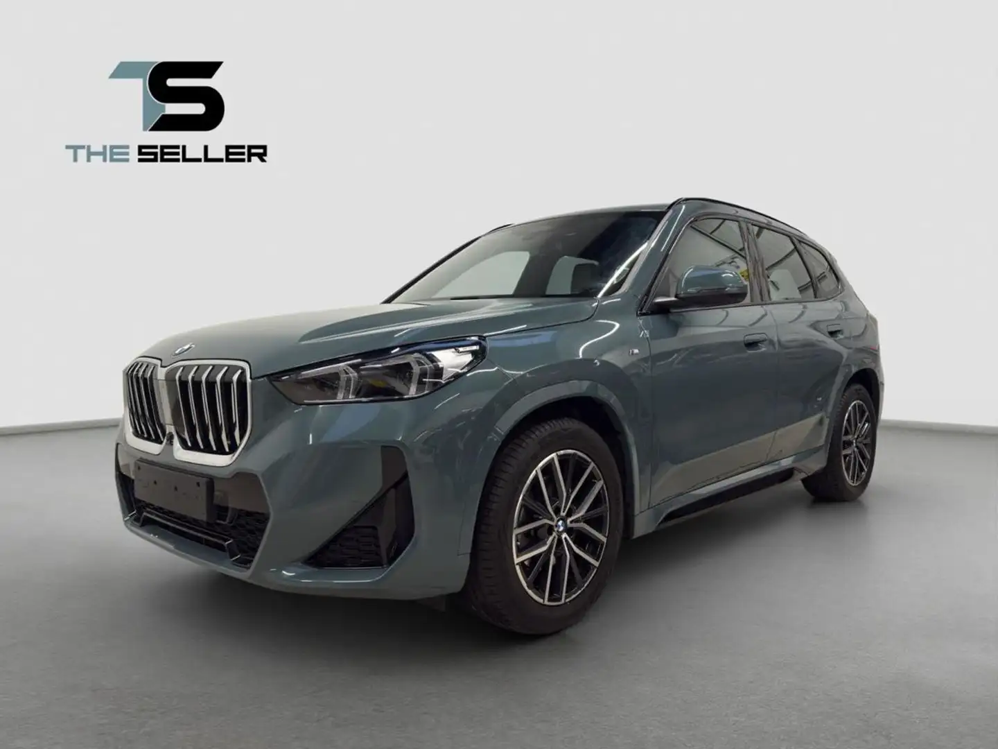 BMW X1 sDrive 20d Msport*INNOVATION PACK*FORMULA S Verde - 1