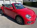 Volkswagen Beetle Sound BMT/Start-Stopp Rot - thumbnail 16
